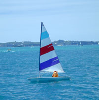 Picture of SunFish Sailboat